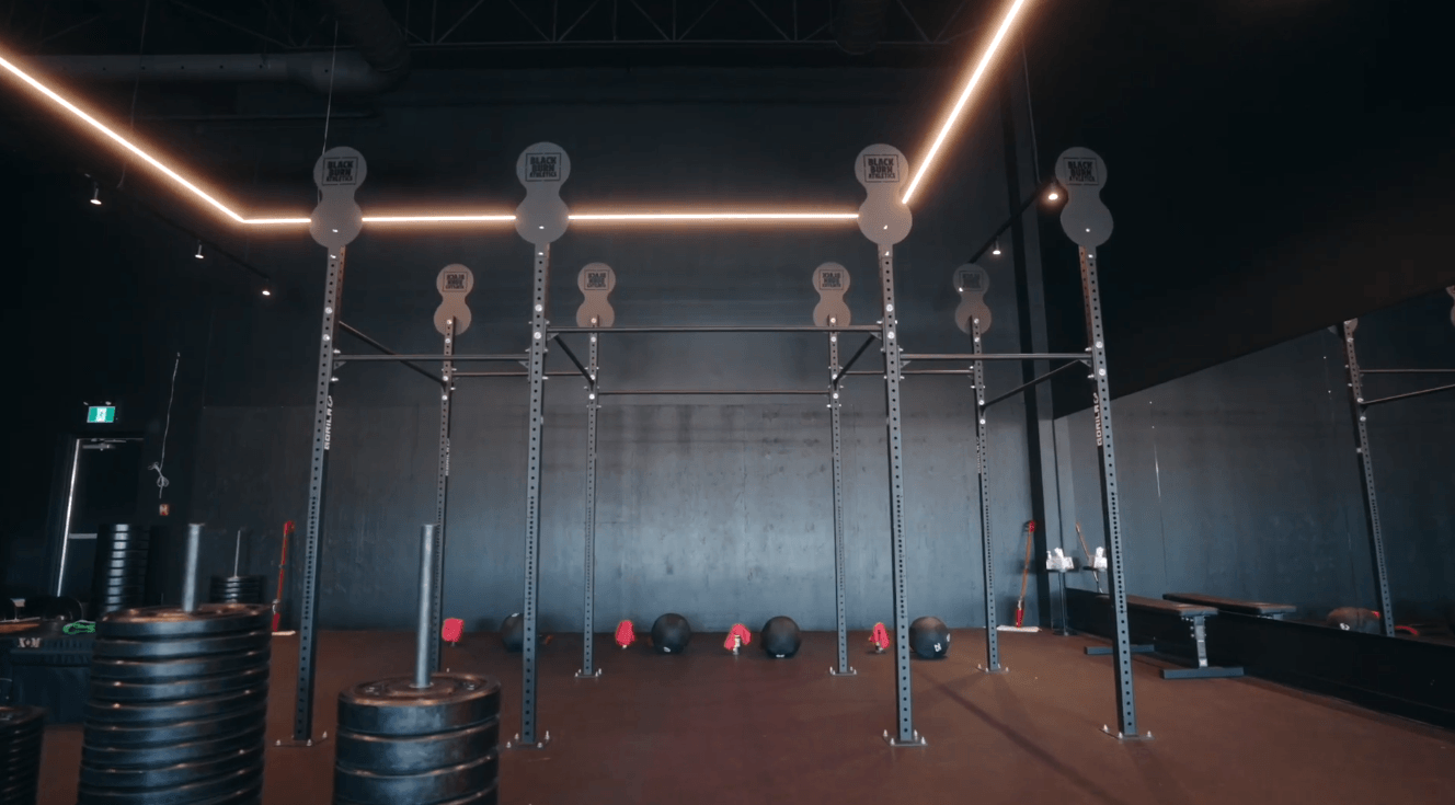 Rogue Fitness Canada vs Gorila Fitness: Best Gym Equipment Brand in Canada
