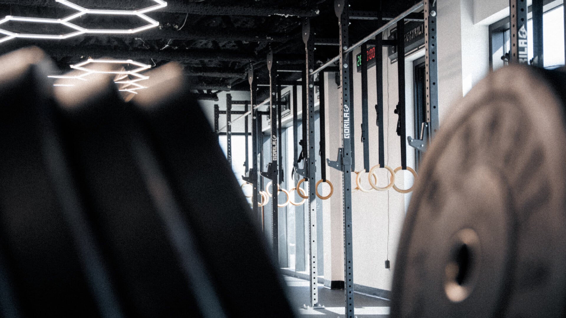 Jungle Training Center