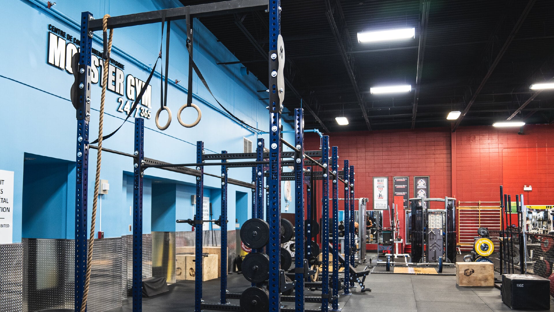 Monster Gym