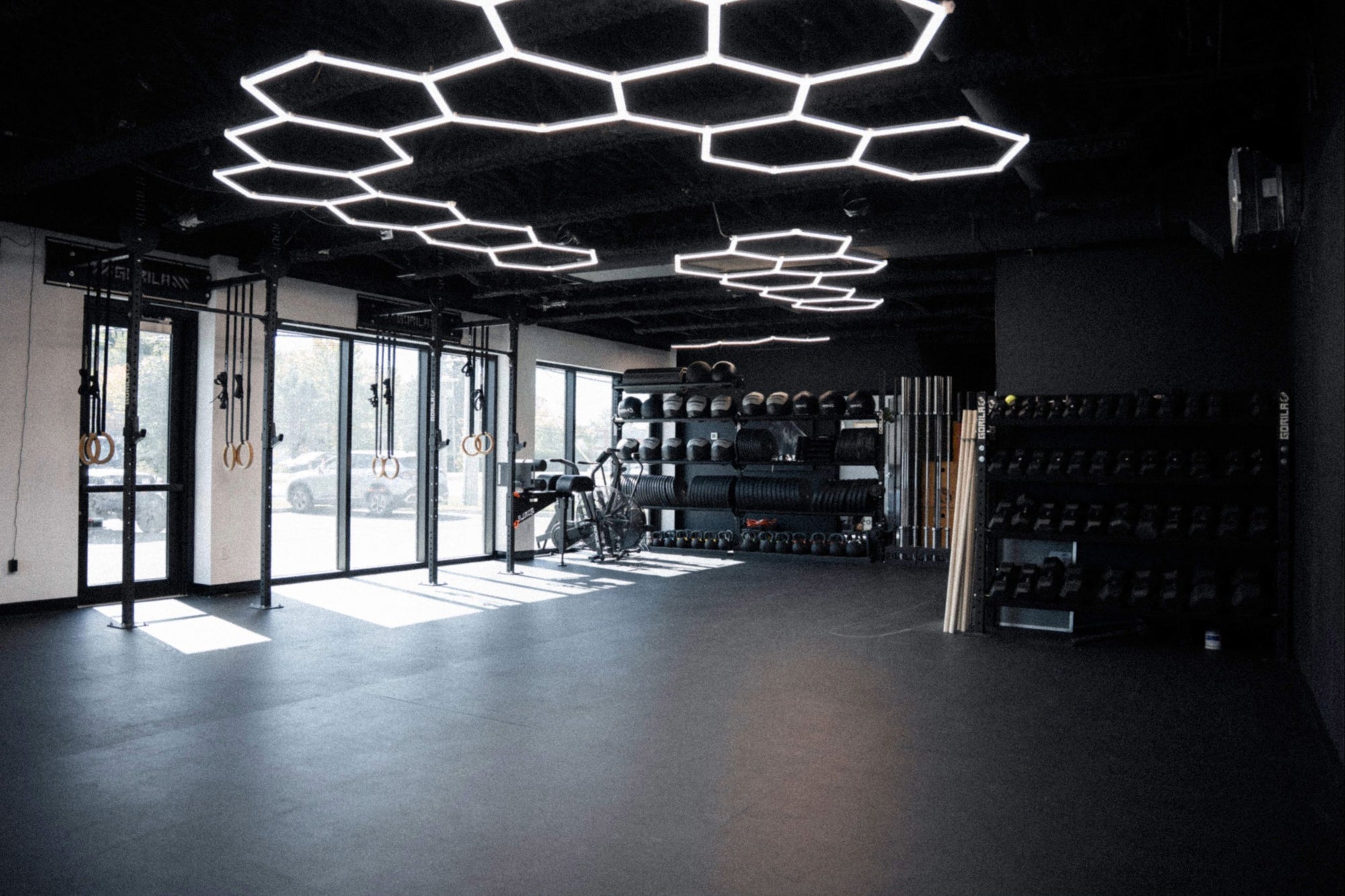 Modern functional fitness gym equipped with Gorila rigs, wooden rings, dumbbells, medicine balls, and Assault bikes, featuring premium rubber flooring and geometric LED ceiling lights.
