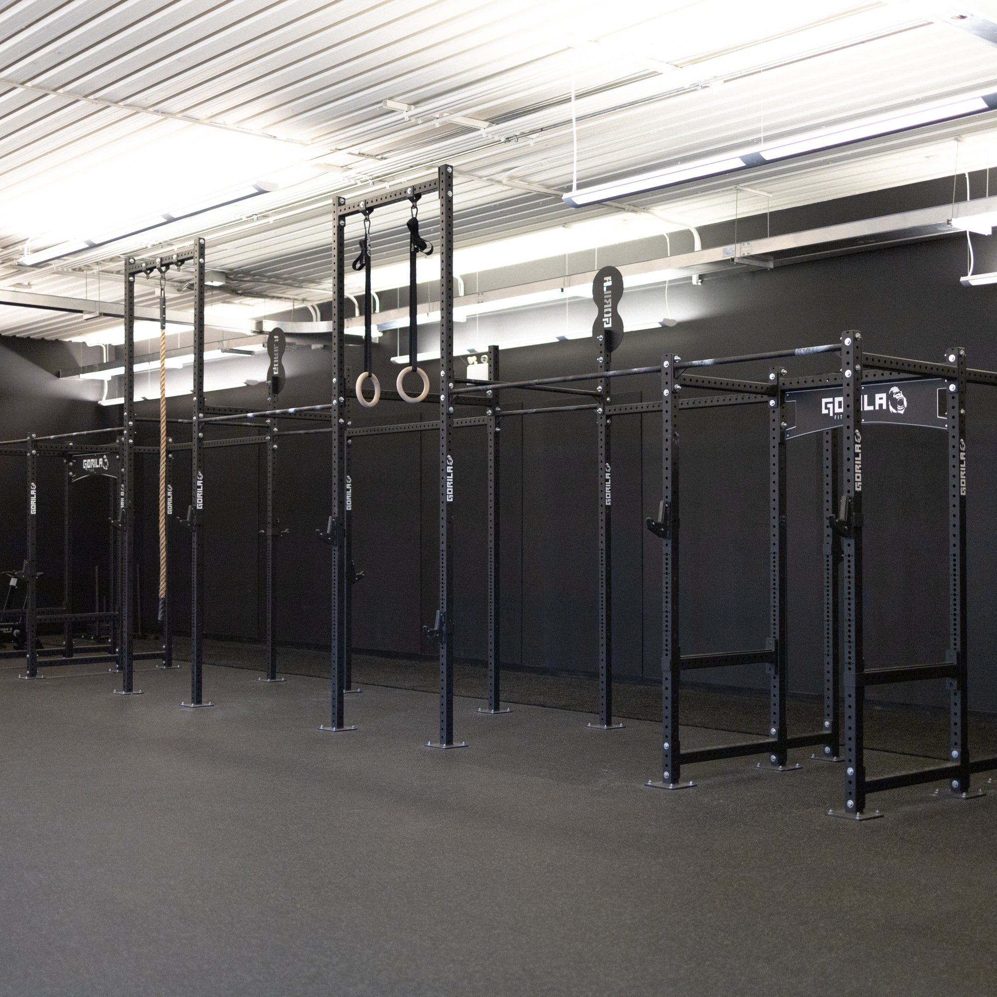 Gorila Fitness Showroom | The Jungle Training Center