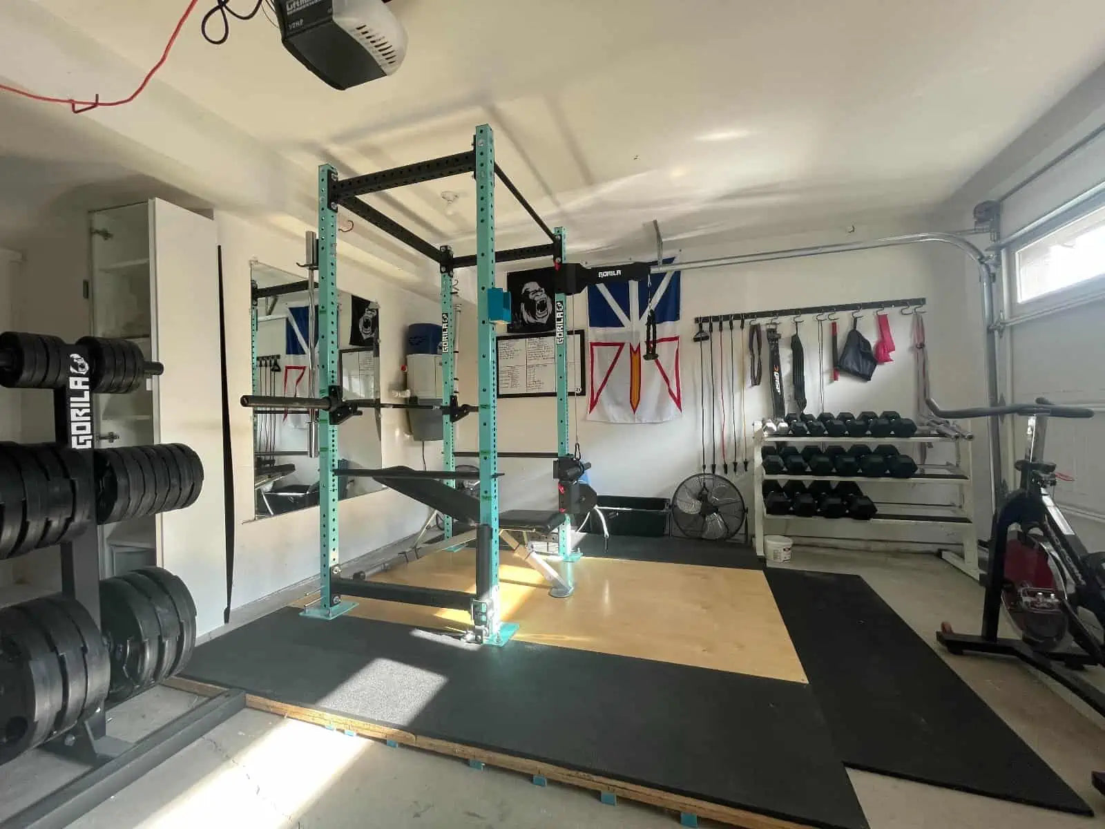 Sleek and Functional Home Gym with Custom Rig - A modern and sleek garage gym with a teal SP3 power rack, dumbbell rack, and cardio machines, designed for athletes who value both style and function.