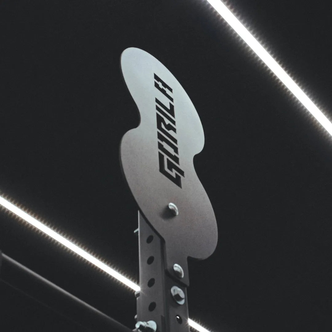 Close-up of the Gorila 2-in-1 Wall Ball Target mounted on a rig, ideal for Hyrox, CrossFit, and garage gym setups