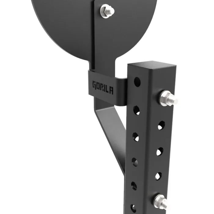 Installation angle showing bolt positions and adjustable height for 9 ft and 10 ft wall ball shots

