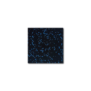 Blue-speckled Gorila Rubber Gym Flooring Roll made in the USA, high-density recycled rubber flooring ideal for weight rooms and training facilities