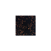 Orange-speckled Gorila Rubber Gym Flooring Roll offering resilient impact protection and modern design for home and commercial gym spaces