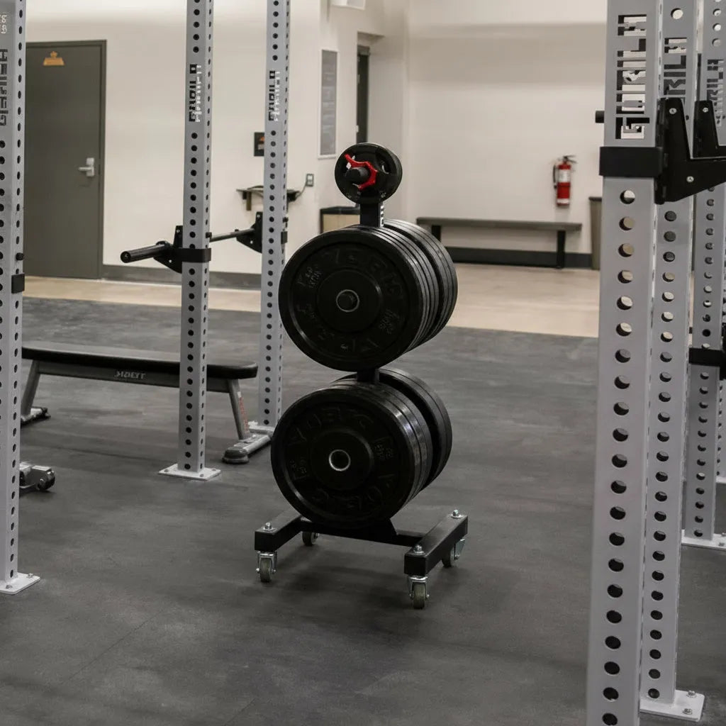 Gorila Sequoias Vertical Plate Storage unit in a gym environment holding multiple weight plates, demonstrating stable vertical organization for strength training areas.