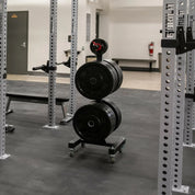 Gorila Sequoias Vertical Plate Storage unit in a gym environment holding multiple weight plates, demonstrating stable vertical organization for strength training areas.
