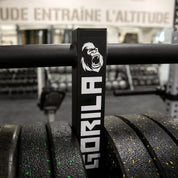 Best Gorila Tree Vertical Plate Storage - Gorila Fitness 