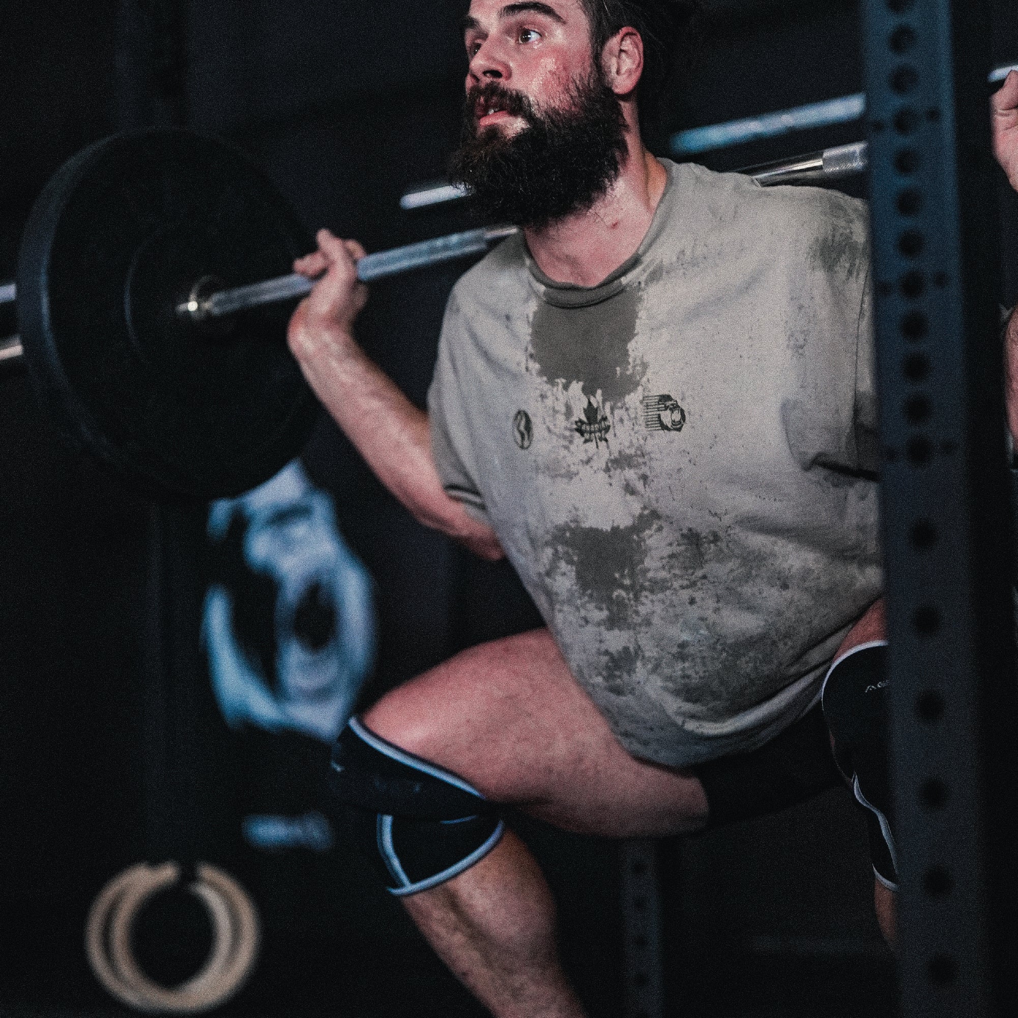 Best Tested For Animals - Heavy Tee - Gorila Fitness 