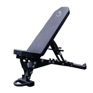 Buy Exercise Benches In Canada