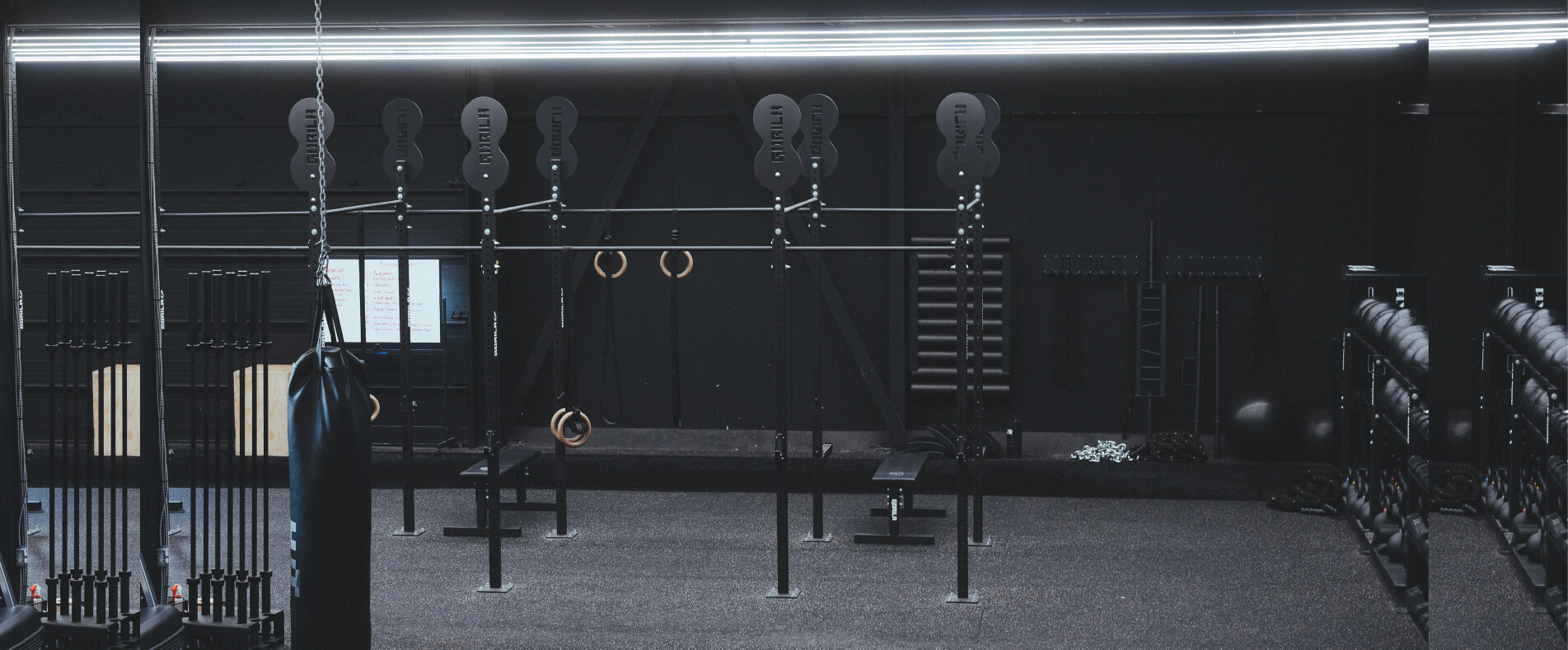 Bannière Web mettant en vedette des équiipements Gorila Fitness de haute qualité dans un gym commercial haut de gamme. Ton sur ton, noir.